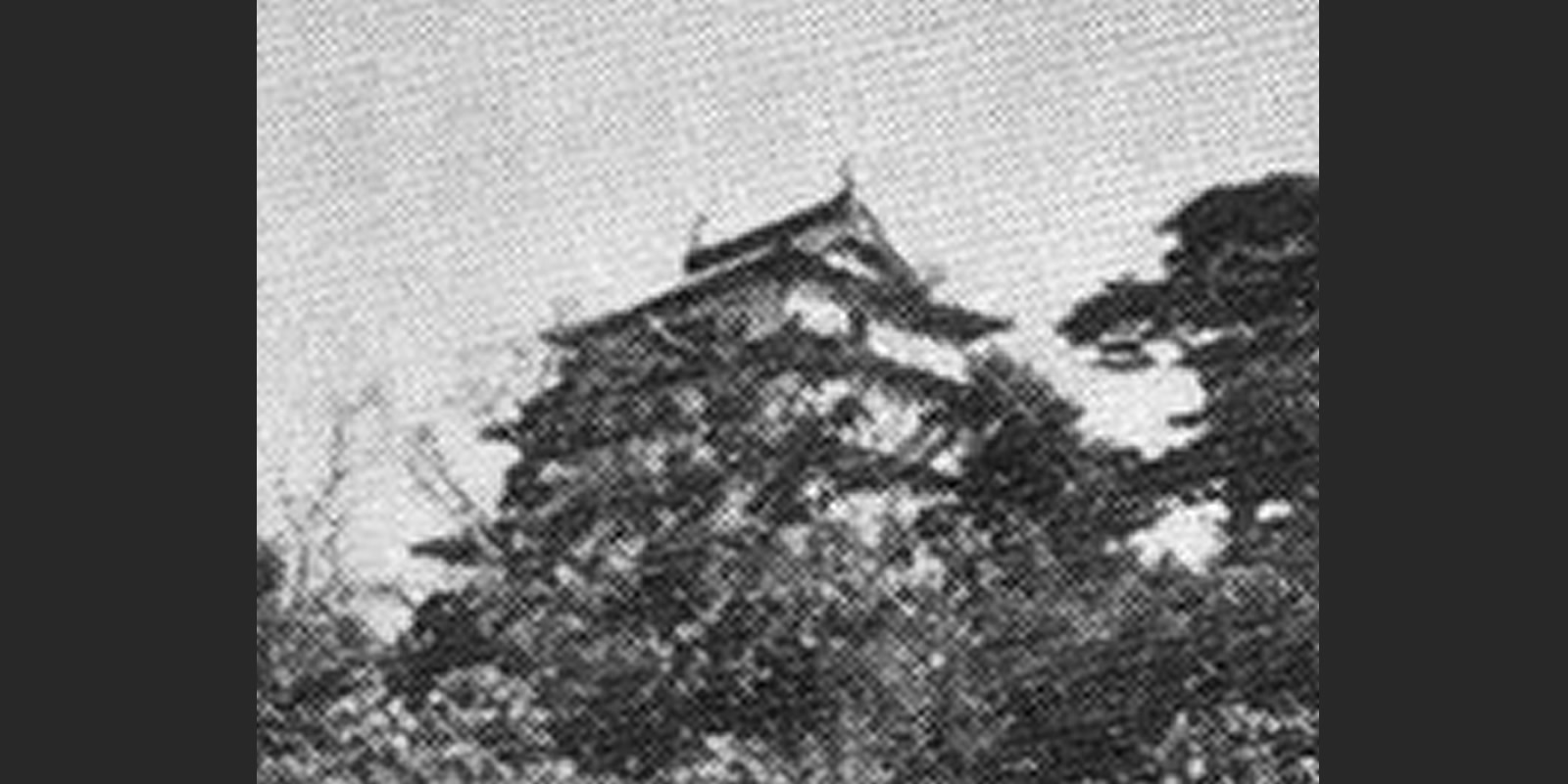 南條公10代の居城　羽衣石（うえいし）城